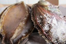 ������ haoshilao.com