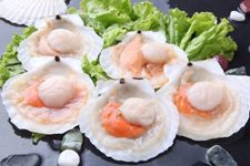 �ȱ���ôϴ haoshilao.com