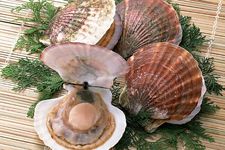 �ȱ���ôϴ haoshilao.com