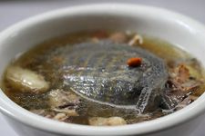 甲鱼怎么做好吃 haoshilao.com