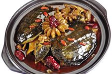 甲鱼怎么做好吃 haoshilao.com