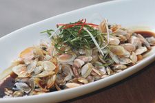 ���ͺ����ӵ����� haoshilao.com