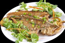 �ƻ�������� haoshilao.com