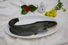 �����������ȫ haoshilao.com