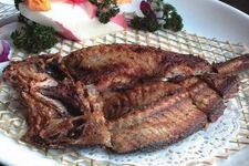�������ô���ó� haoshilao.com