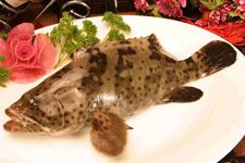 ����ʯ���� haoshilao.com