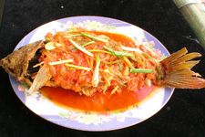 �Ǵ��� haoshilao.com