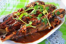 ���˸��� haoshilao.com