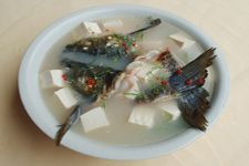 ����ͷ�� haoshilao.com