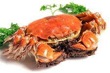 ��բз������ȫ haoshilao.com