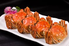 ��բз������ȫ haoshilao.com