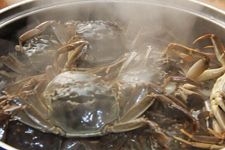 怎样蒸螃蟹 haoshilao.com