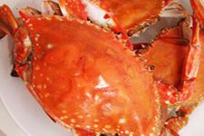 海蟹怎么吃 haoshilao.com