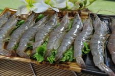 ��ը��Ϻ������ haoshilao.com