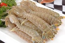 ����Ϻ haoshilao.com