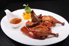 ��Ƥ��Ѽ������ haoshilao.com