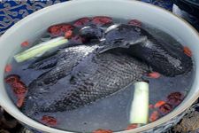 �ڼ�����������ȫ haoshilao.com