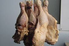 �����ȵ����� haoshilao.com