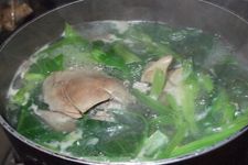 ���ε����� haoshilao.com
