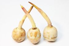 ���������������ȫ haoshilao.com